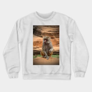 Hamadryas Baboon Crewneck Sweatshirt